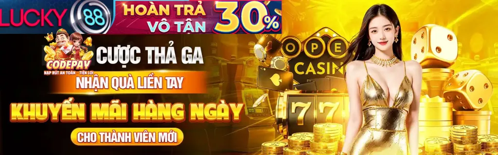 Bảo mật thông tin người dùng fvip88